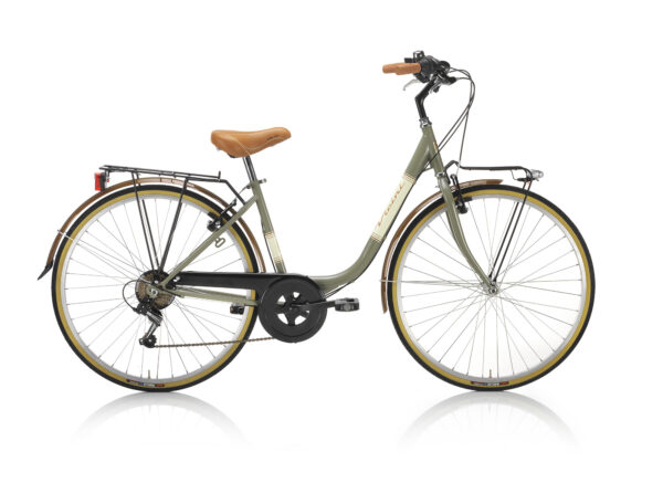 bicicletta ergoshape