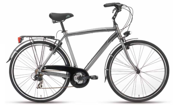 city bike voyager man