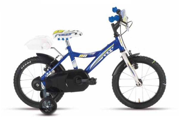 bicicletta vicini power 14